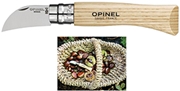 Immagine di COLTELLI OPINEL LAMA INOX PER CASTAGNE